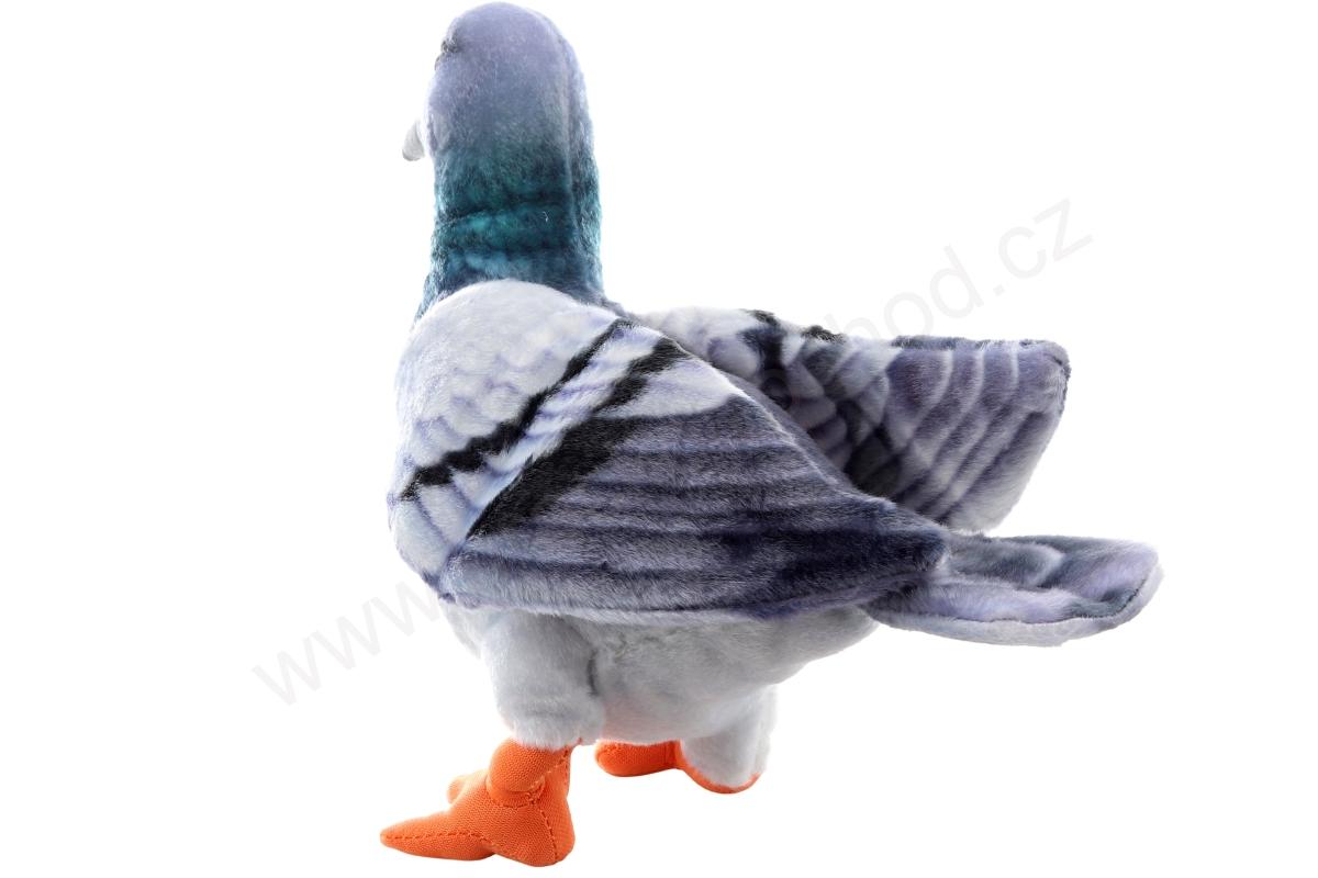 Plyšový HOLUB šedý 22 cm