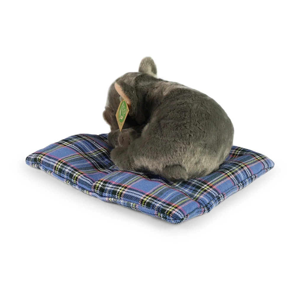 Plyšový pes Francouzský BULDOČEK na polštářku