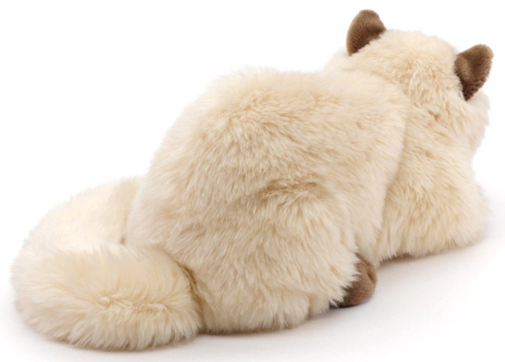 Plyšová KOČKA angorská 31 cm - 4 druhy