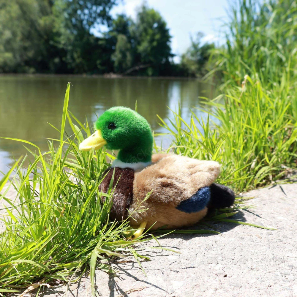 Plyšová kachna / kačer 20 cm ECO-FRIENDLY