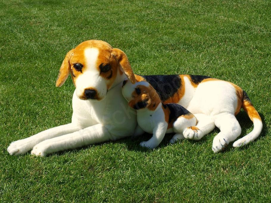 Plyšový pes bígl se štěnětem (78 cm + 36 cm)