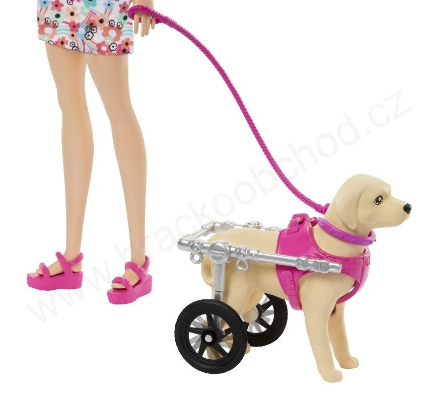 Barbie Panenka a pejsek s invalidním vozíčkem HTK37