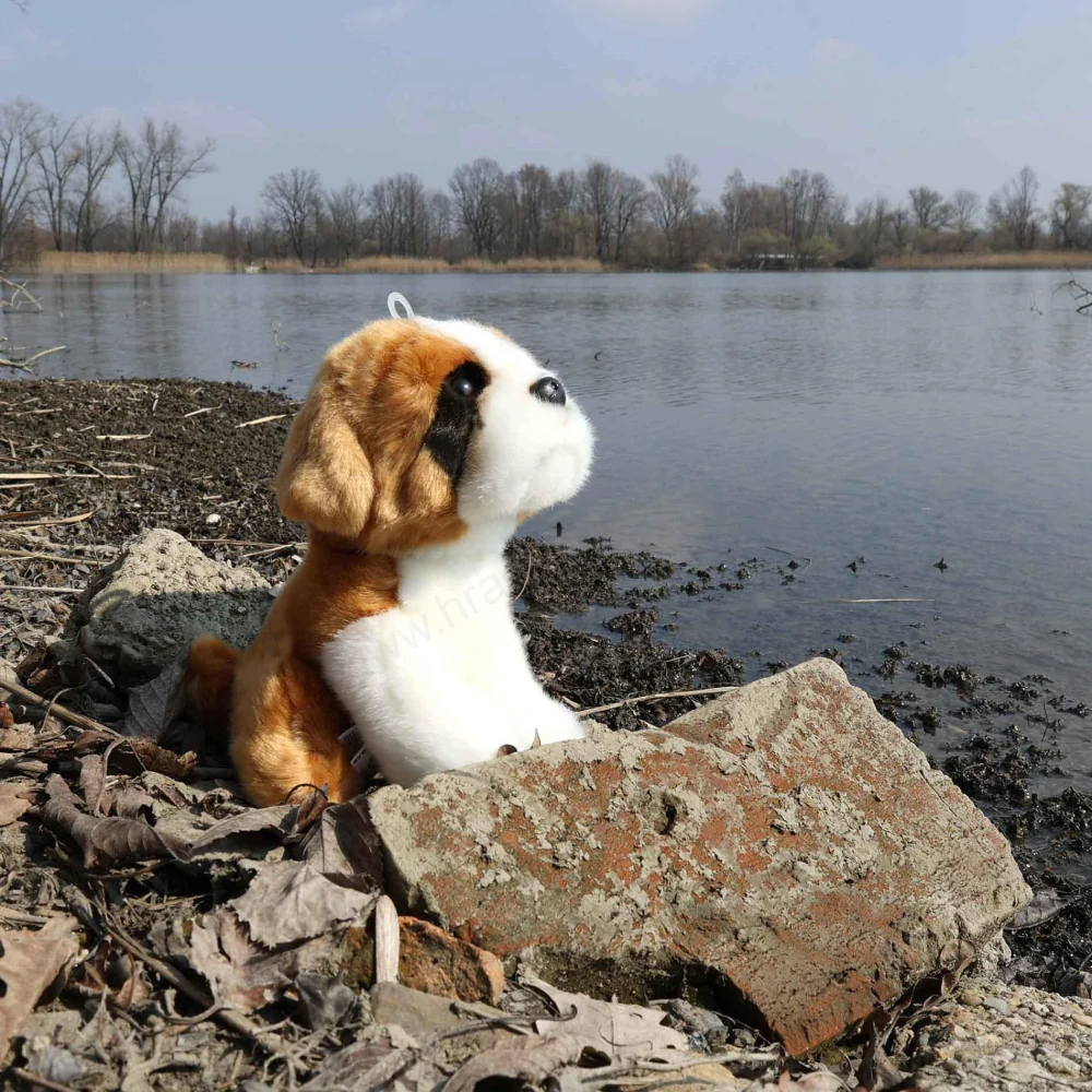 Plyšový pes bernardýn sedící 20 cm ECO-FRIENDLY