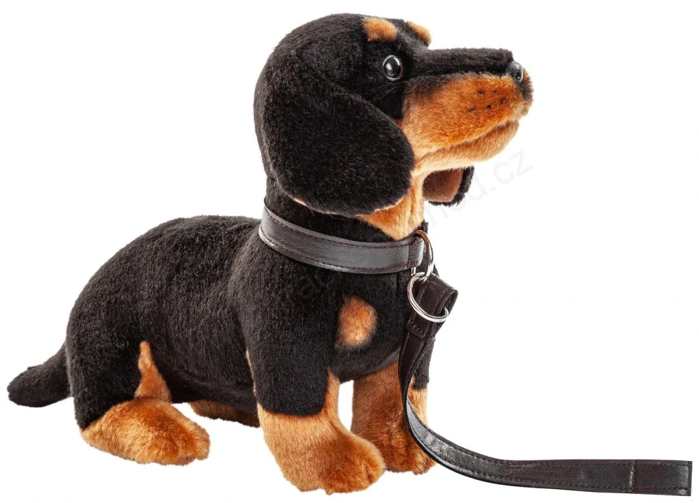 Plyšový pes JEZEVČÍK 27 cm,  s vodítkem