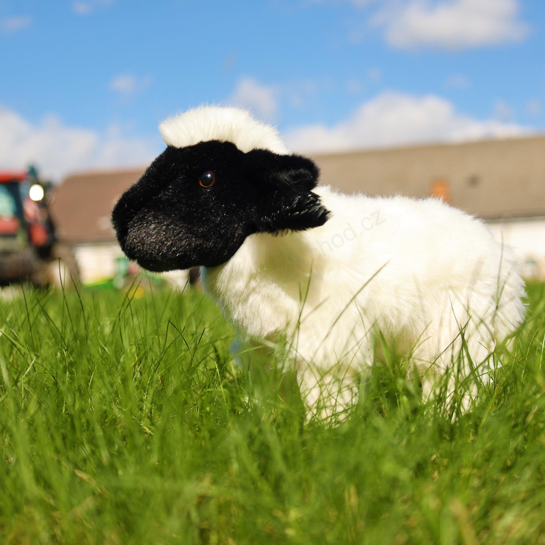 Plyšová ovce černobílá stojící 27 cm ECO-FRIENDLY