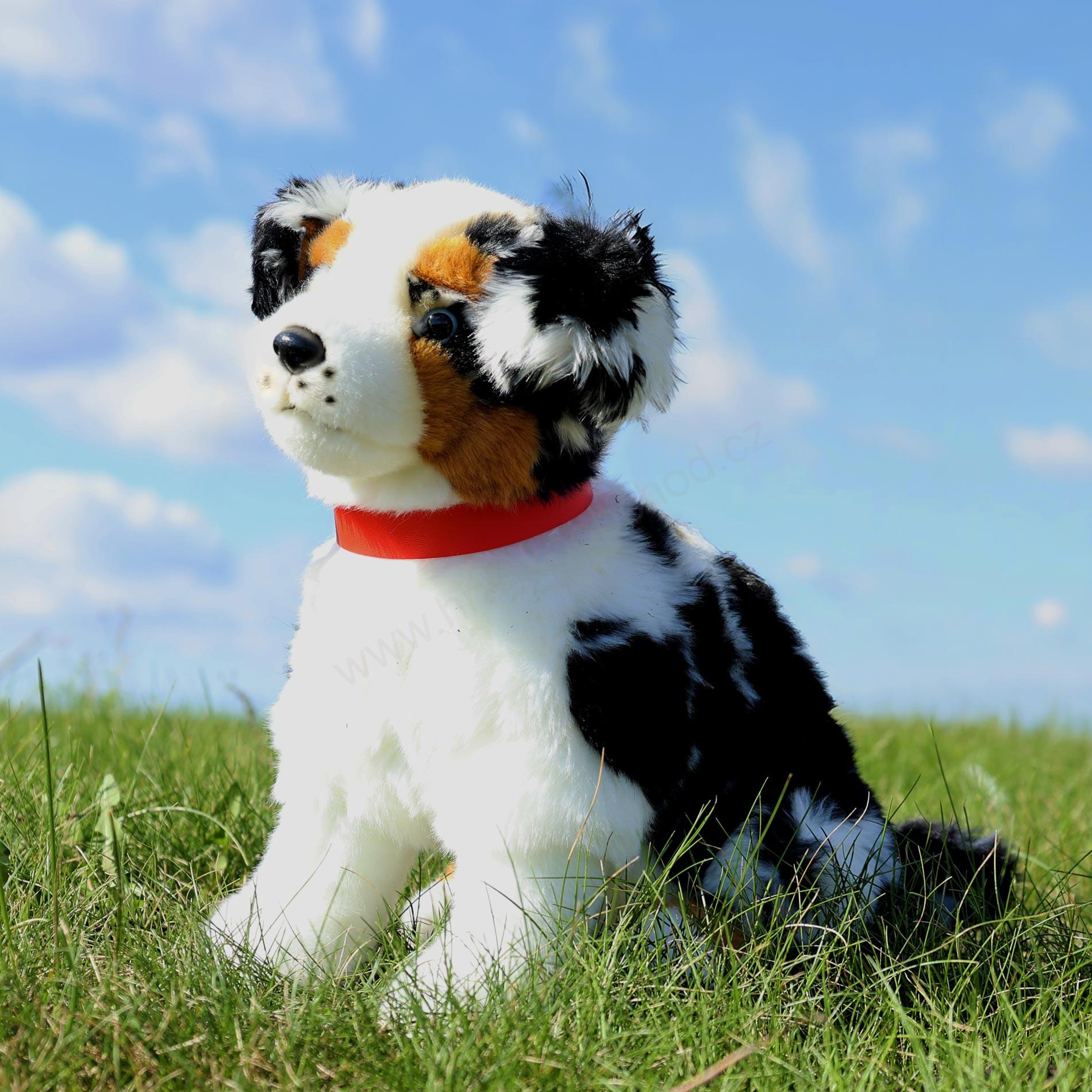 Plyšový pes australský ovčák sedící 35 cm ECO-FRIENDLY