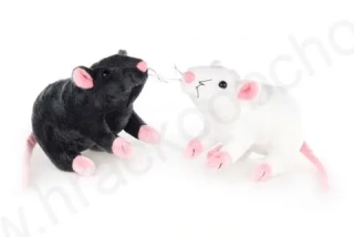 Plyšová MYŠ / KRYSA 19 cm