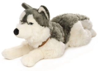 Plyšový pes HUSKY ležící 62 cm s popruhy