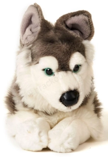 Plyšový pes HUSKY 43 cm ECO - FRIENDLY