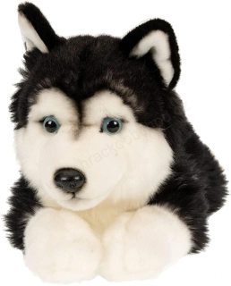 Plyšový pes Husky ležící 35 cm