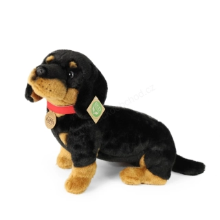 Plyšový pes jezevčík 30 cm ECO-FRIENDLY