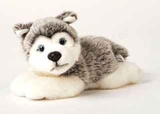 Plyšový pes Husky ležící 23 cm - ECO-FRIENDLY