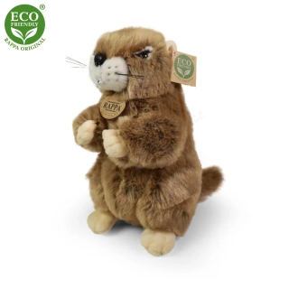 Plyšový svišť sedící, 23 cm ECO-FRIENDLY