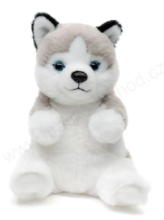 Plyšový pes husky, sedící štěně 17 cm ECO-FRIENDLY
