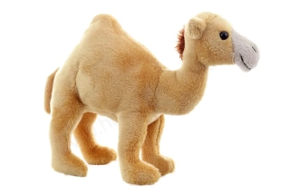Plyšový Velbloud jednohrbý / Dromedár 20 cm