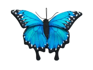Plyšový motýl modrý Papilio 24 cm ECO-FRIENDLY