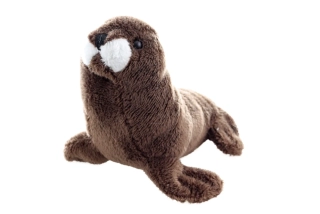 Plyšový lachtan 13 cm