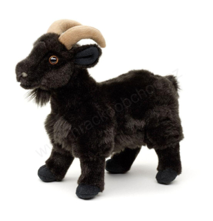 Plyšová KOZA - KOZEL černý 26 cm