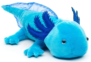 Plyšový Axolotl modrý 30 cm
