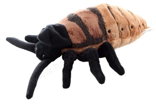 Plyšový  Šváb syčící, 20 cm