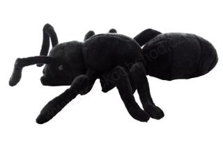 Plyšový Mravenec 24 cm