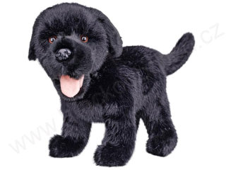 Plyšový pes Labrador 23 cm stojící černý