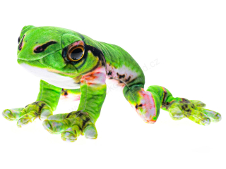 Plyšová žába Rosnička japonská 23 cm