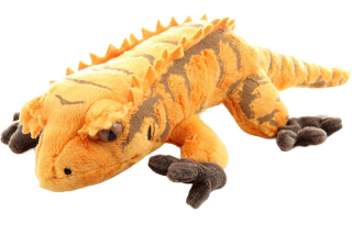 Plyšový Gekon chocholatý 30 cm