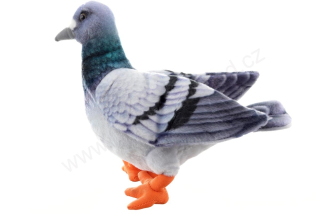 Plyšový HOLUB šedý 22 cm