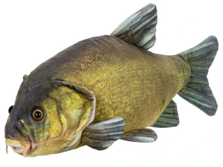 Mikro trading Plyšová ryba LÍN 50 cm