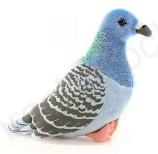 Plyšový HOLUB modrý